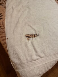 Holes in towels and bed linen
