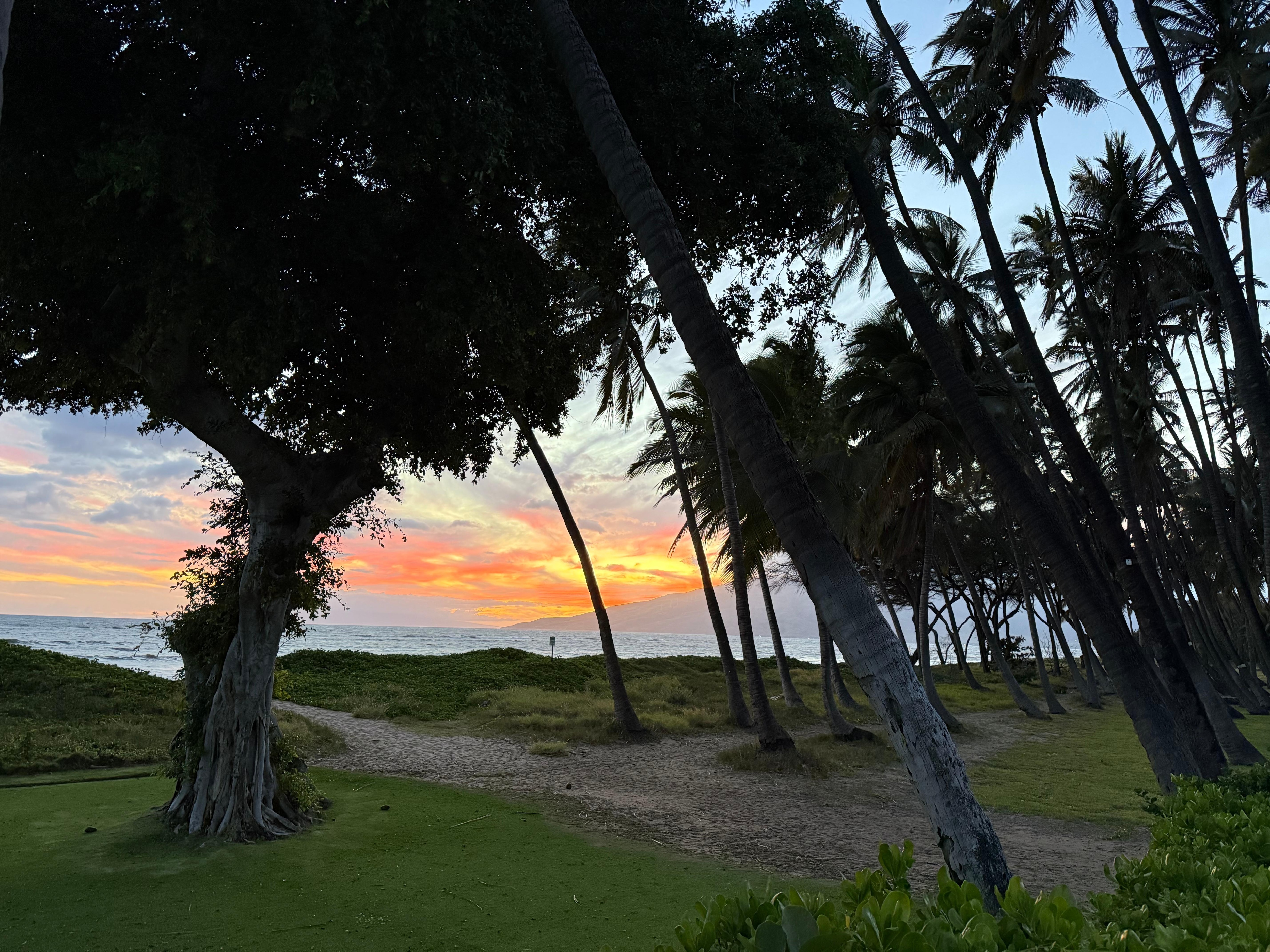 View from patio table