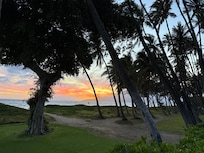 View from patio table