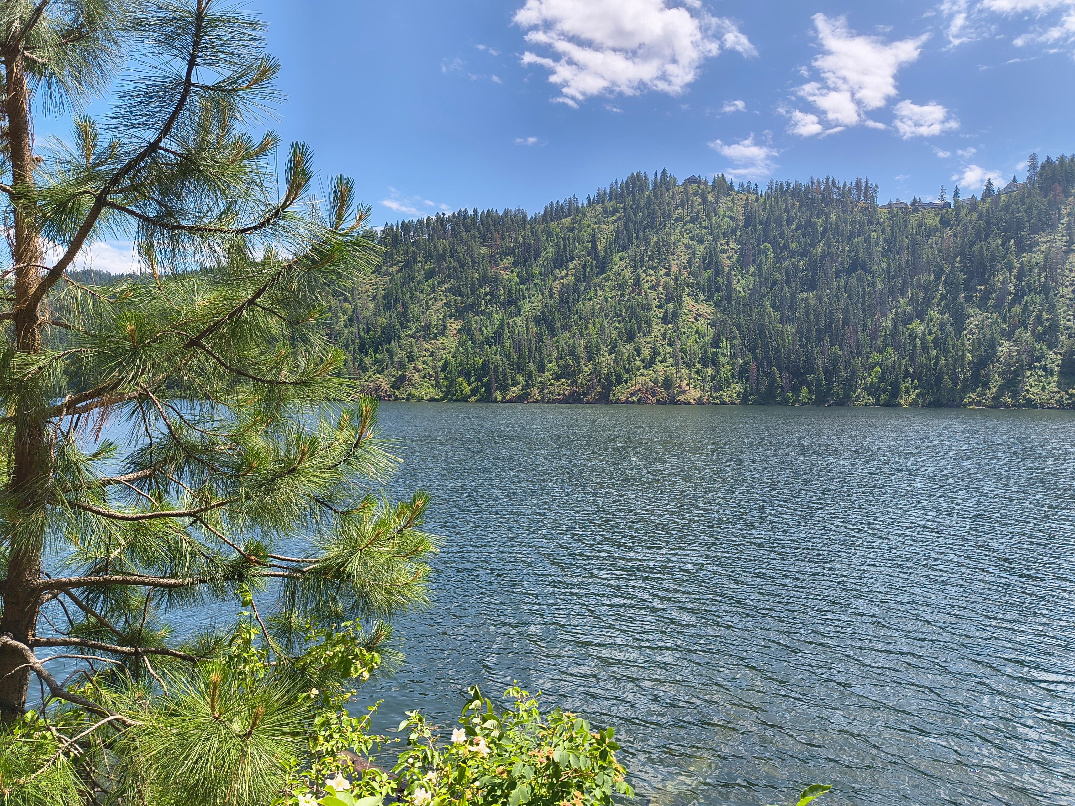Great Fishing and scenic views of Fernan Lake.