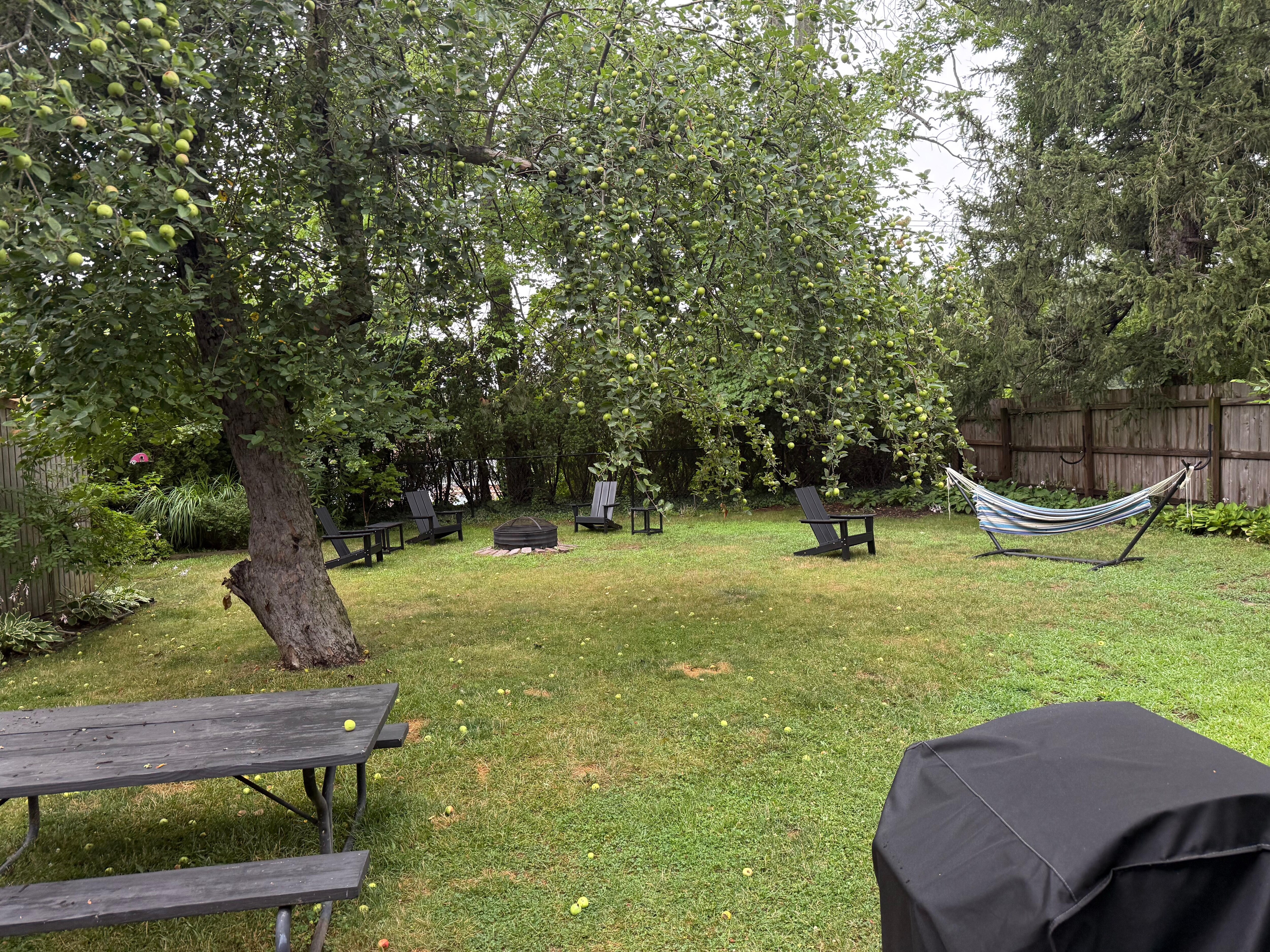 Relaxing and fun backyard