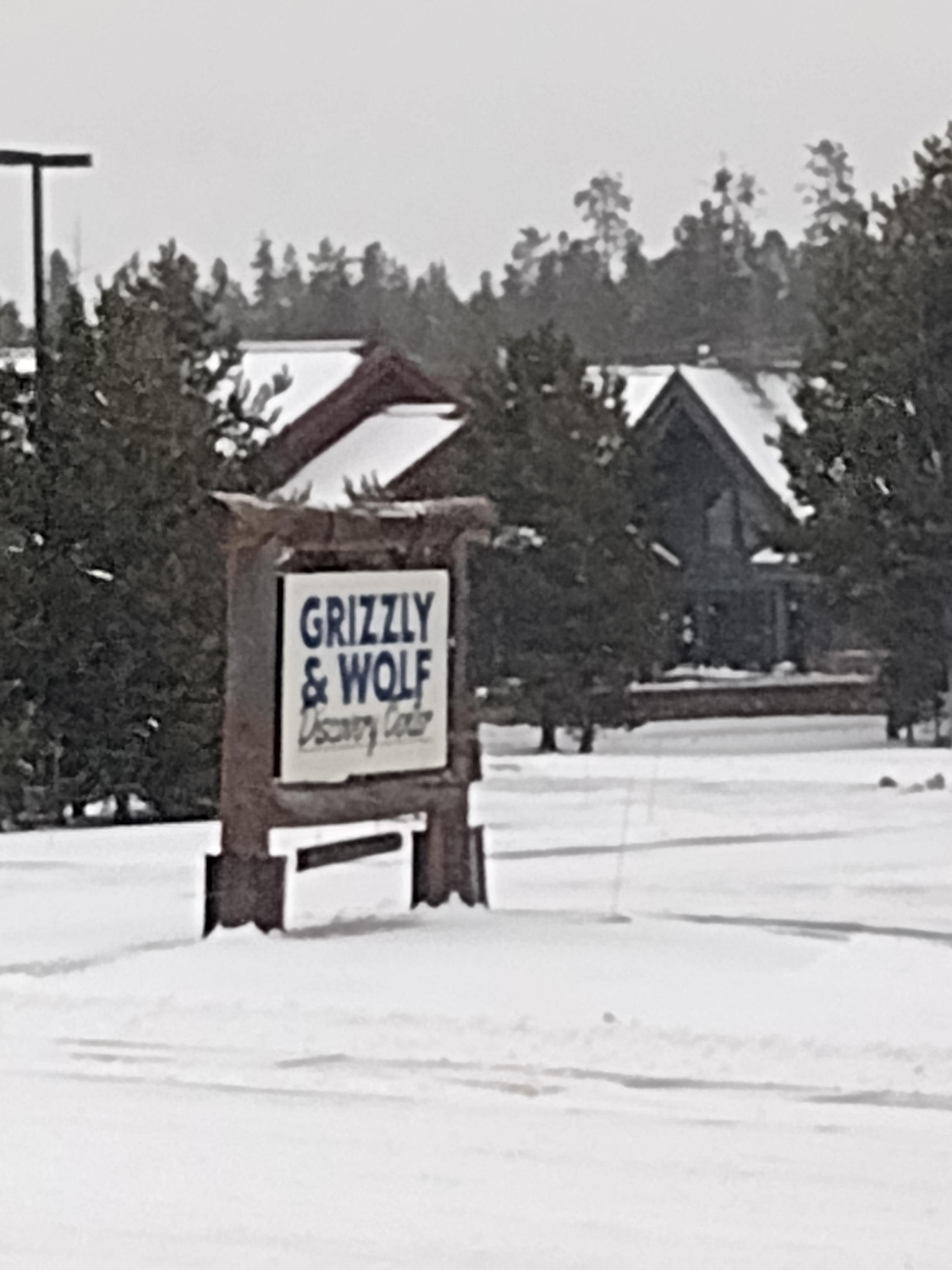 The Grizzly habitat across the street from the hotel. 