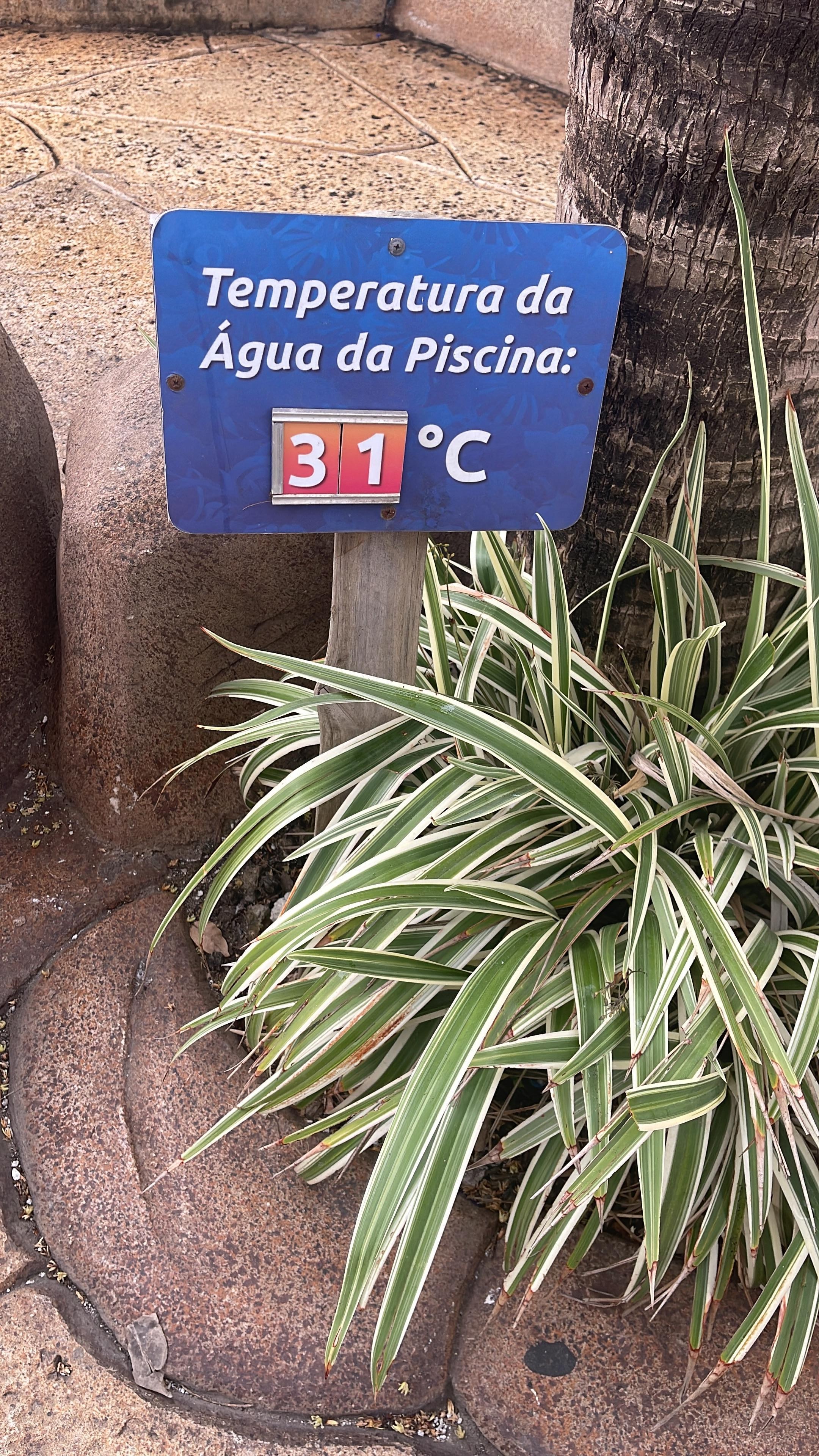 Temperatura da água na piscina do vulcão no parque aquático 