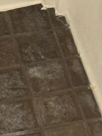 Stains /mold on the shower floor