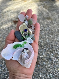 So much fun finding sea glass down at the water! Tiny hermit crabs everywhere also!