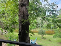 From the back porch