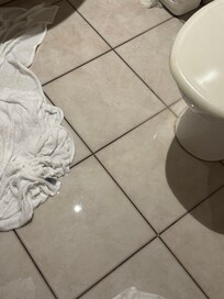 Bathroom flood