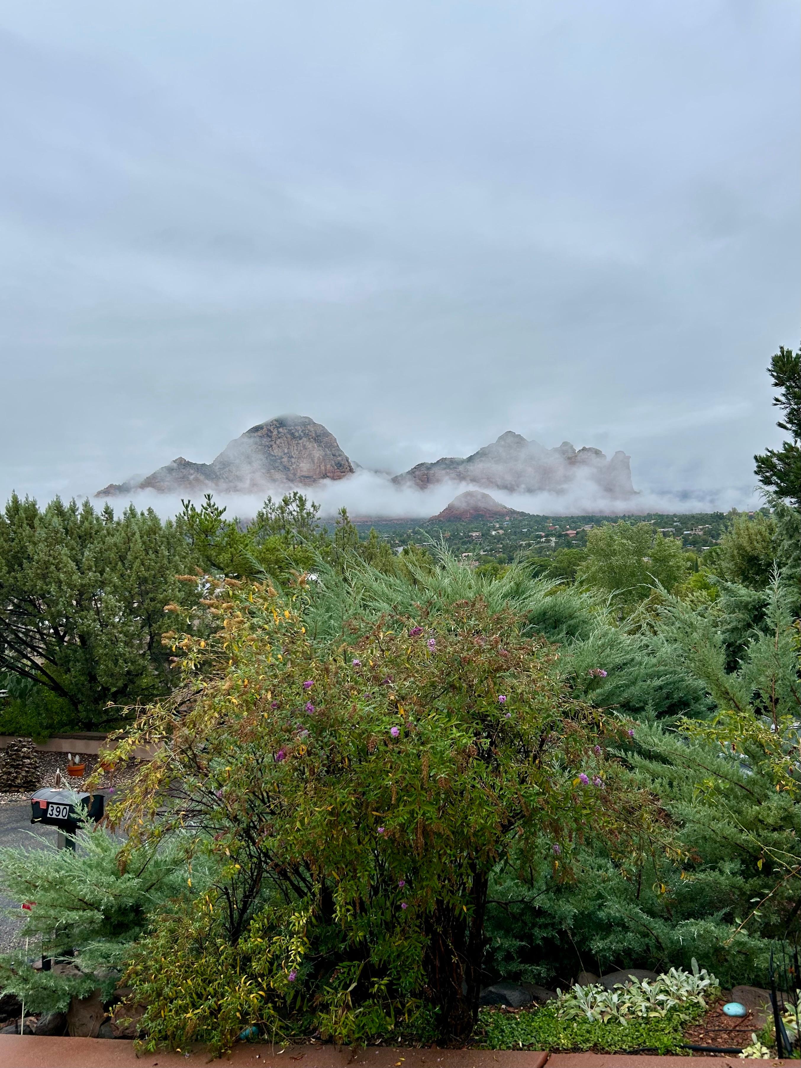 View from the front driveway. 