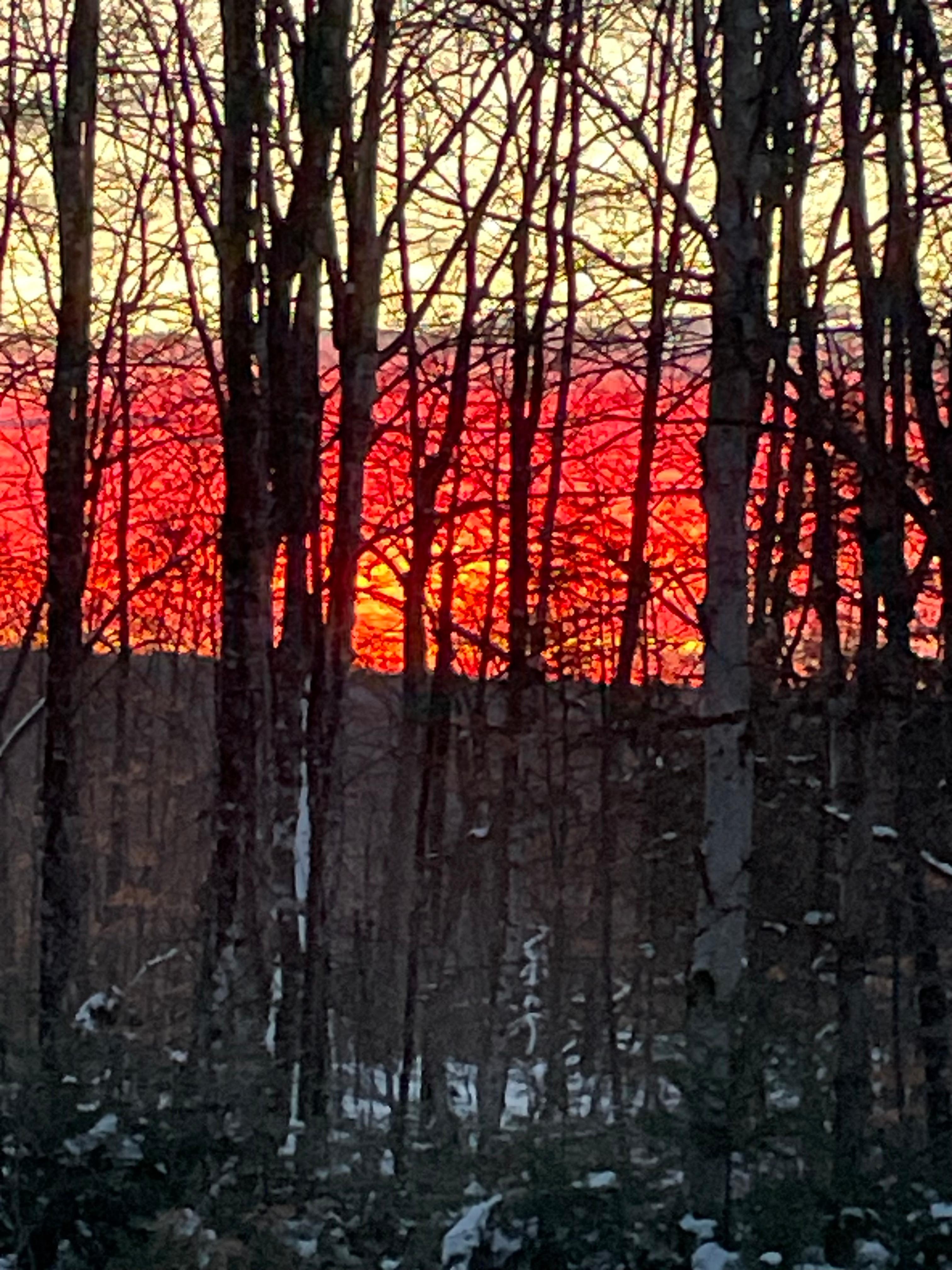 Sunrise in the backyard