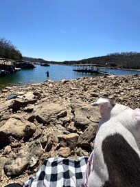 Short walk and picnic by the lake.