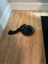 A dirty plate and sock under the upstairs bed!