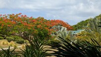 Gorgeous grounds