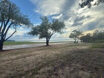 Past this large tree was the lake :)