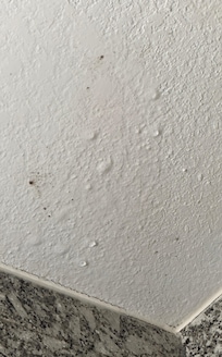 Moldy leaking roof when shower is running.
