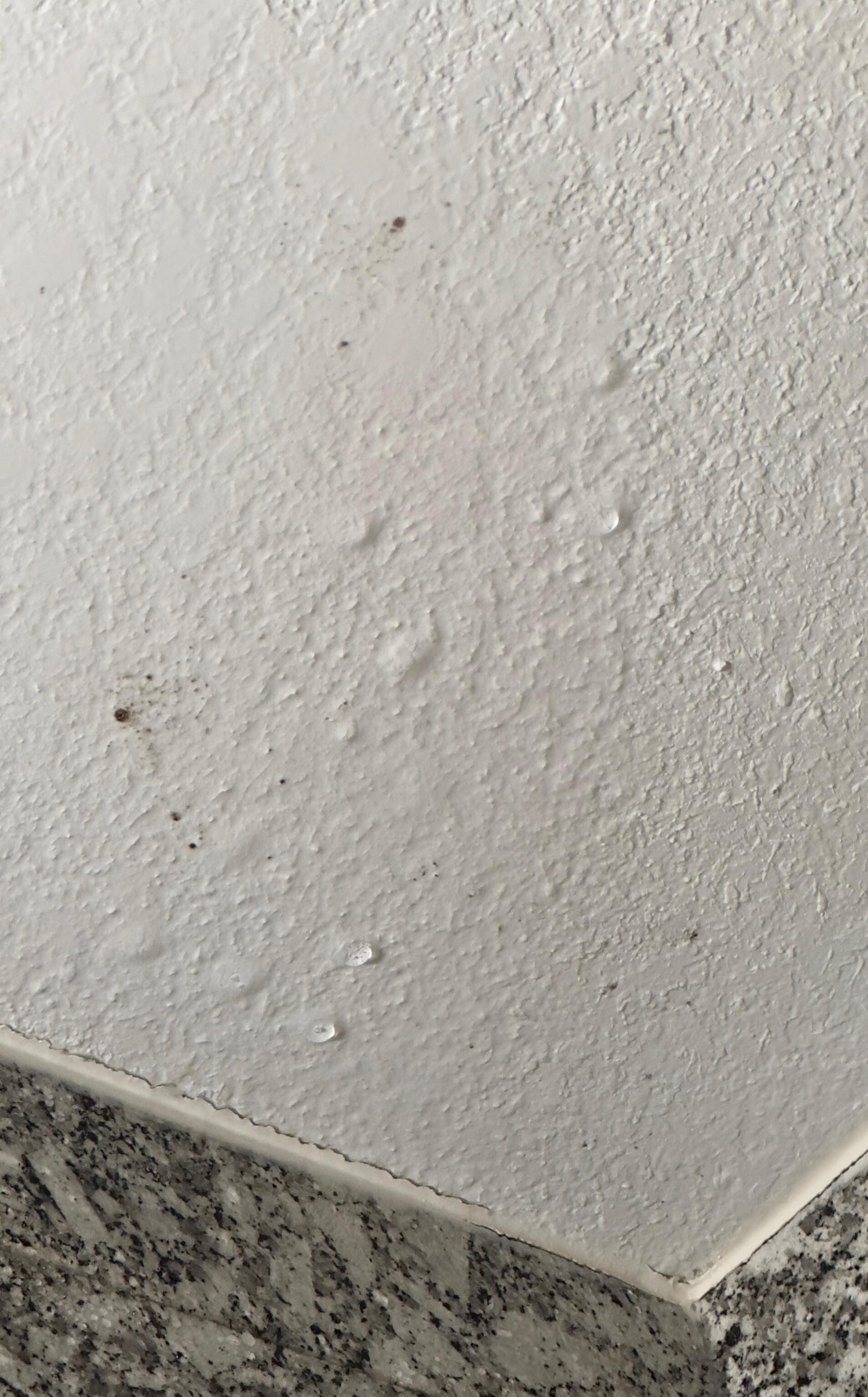 Moldy leaking roof when shower is running. 