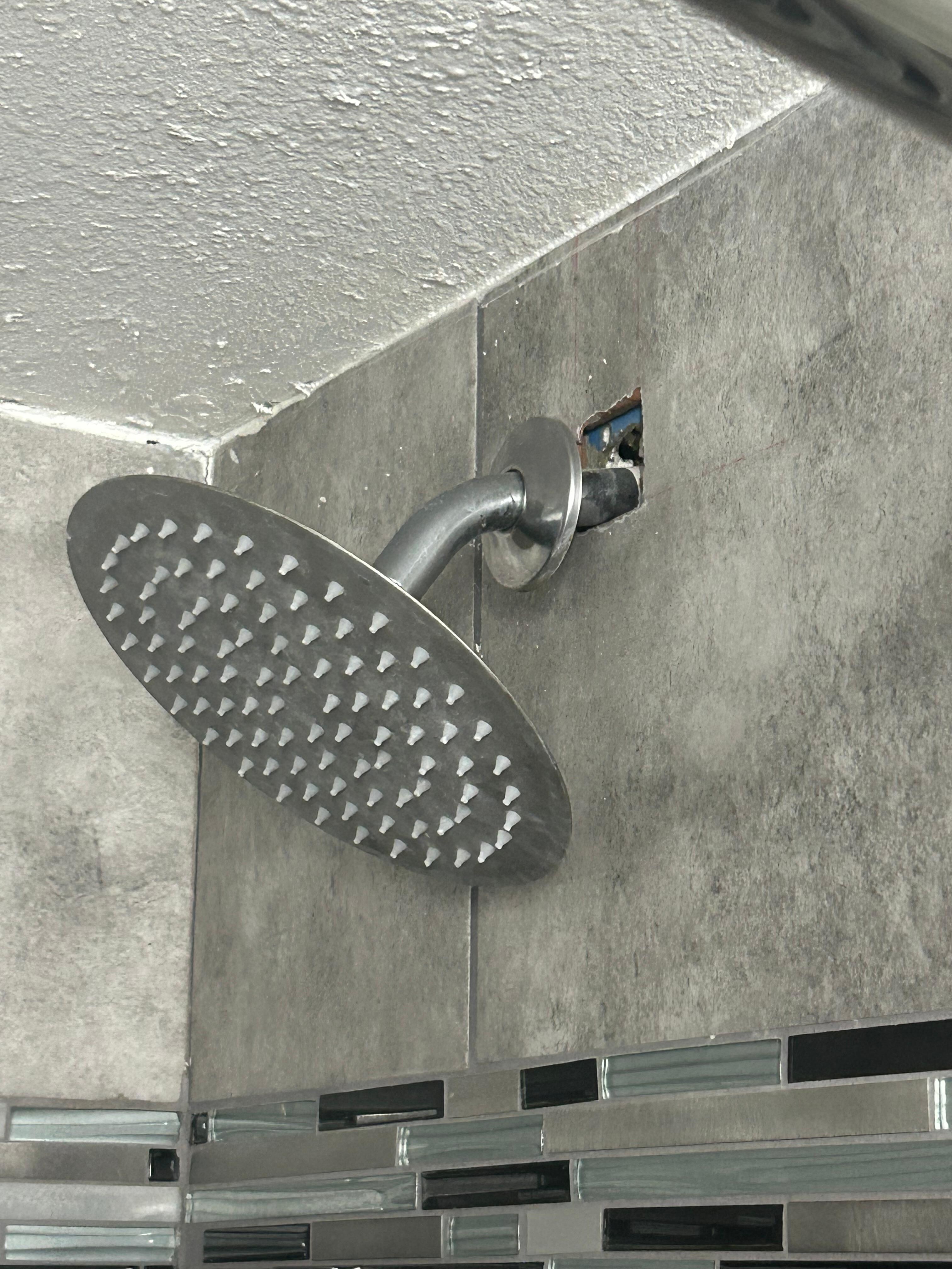 Shower head 