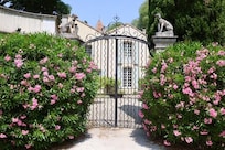 Entrance to chateau