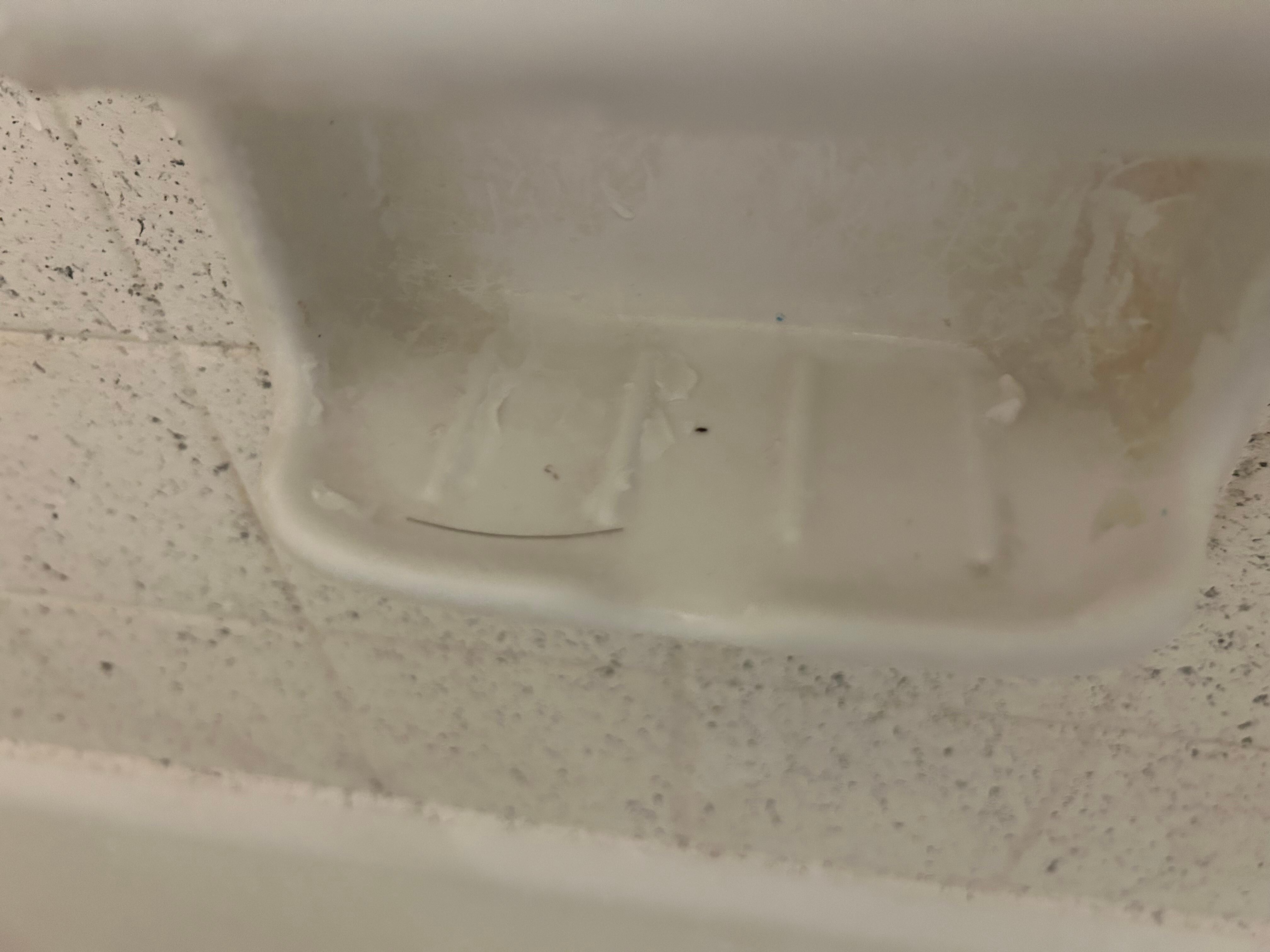 Previous guests shower deposits. 