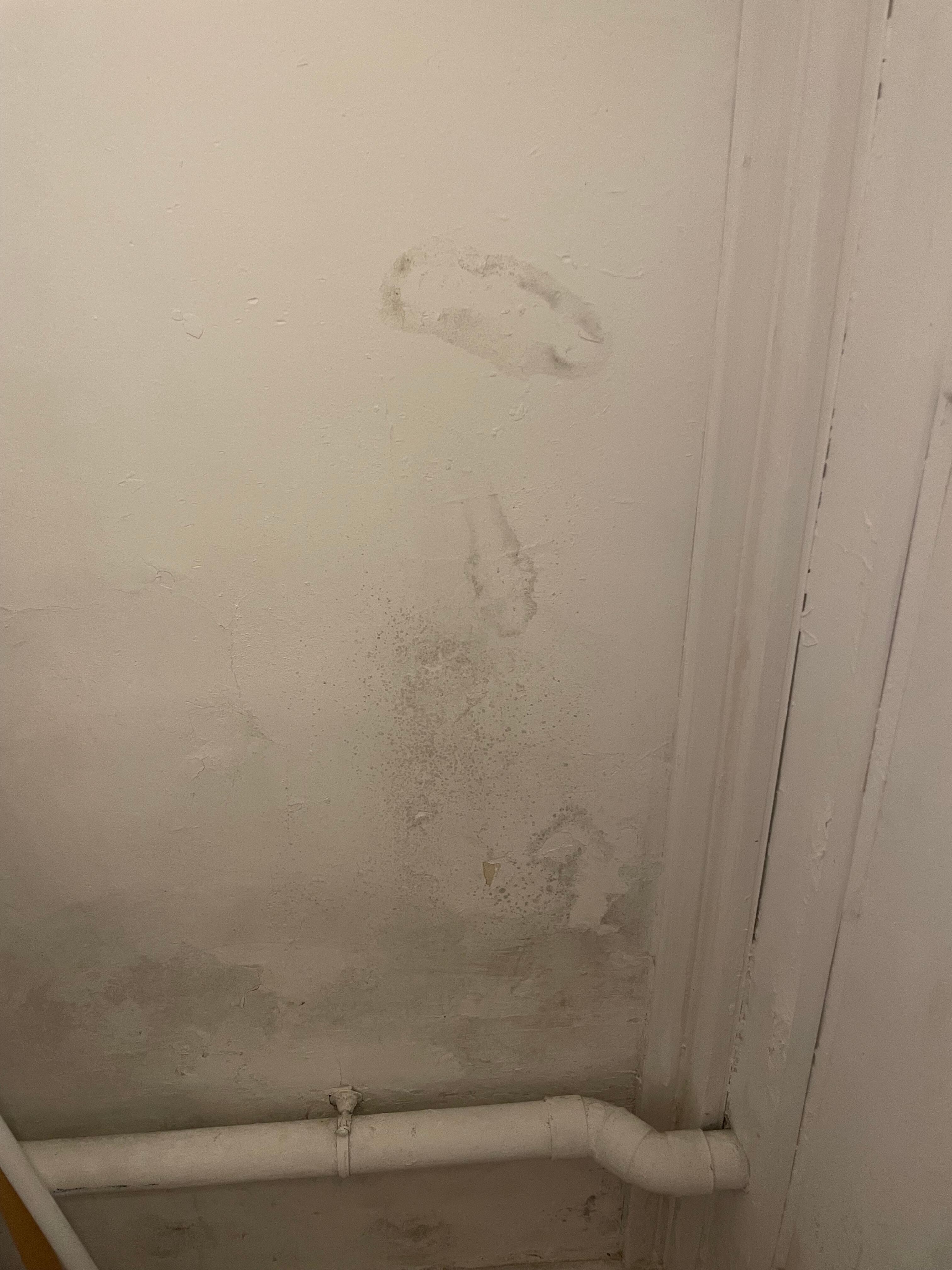 Spots of moisture on the wall