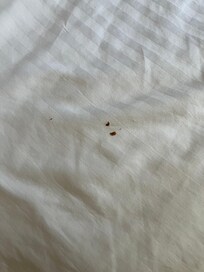 Blood stain
