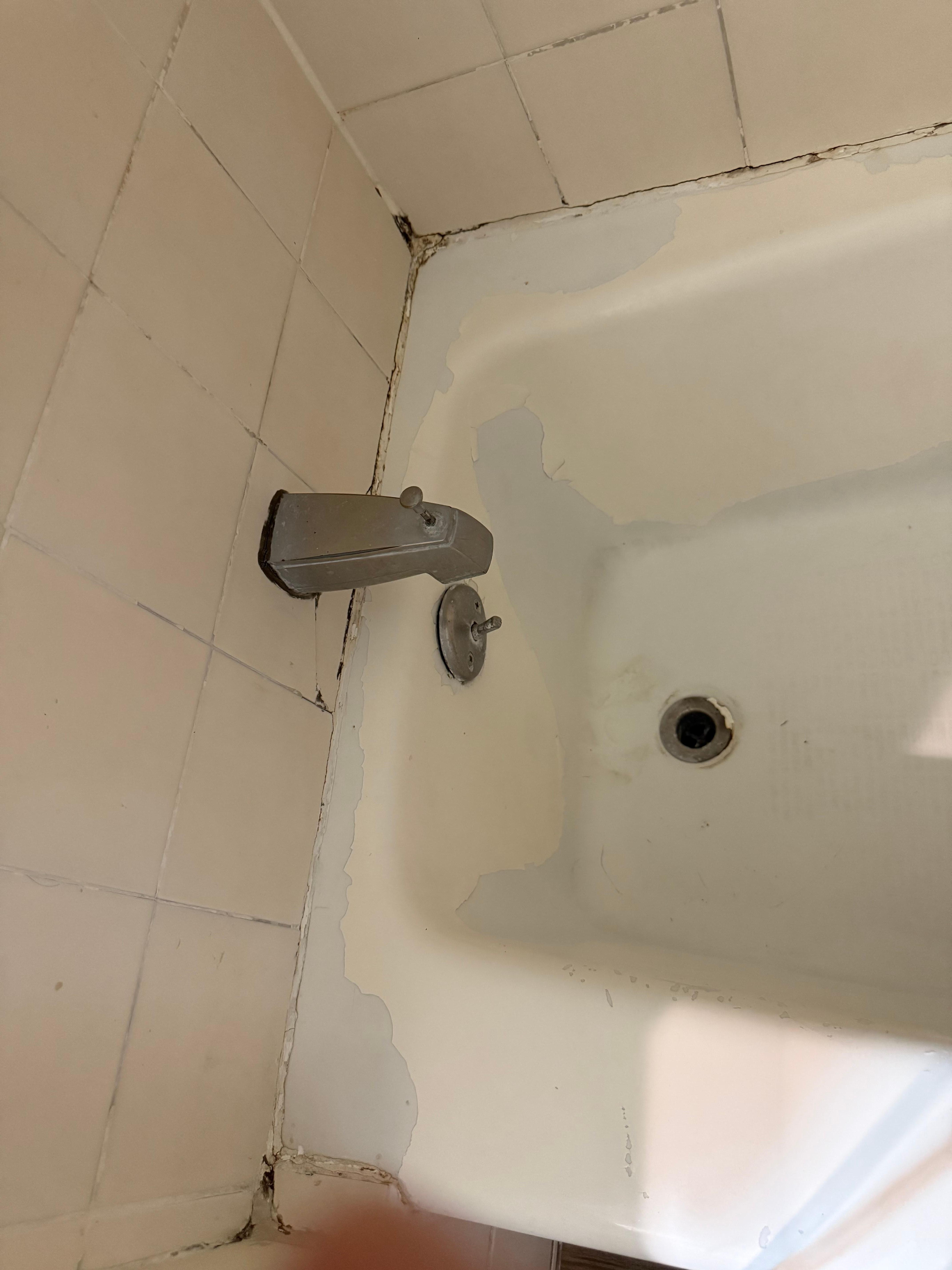 Zoom in for holes and black mold 