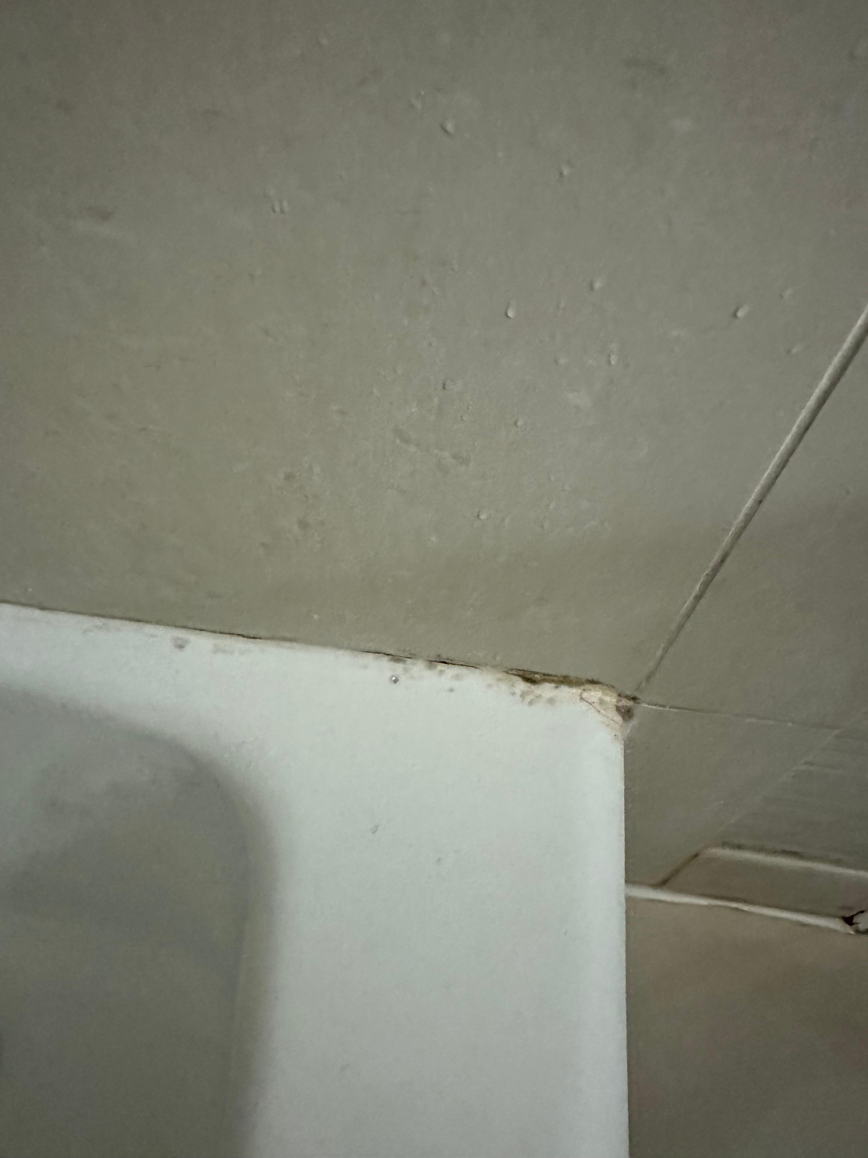 Mildew on the caulking