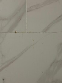 Bad room