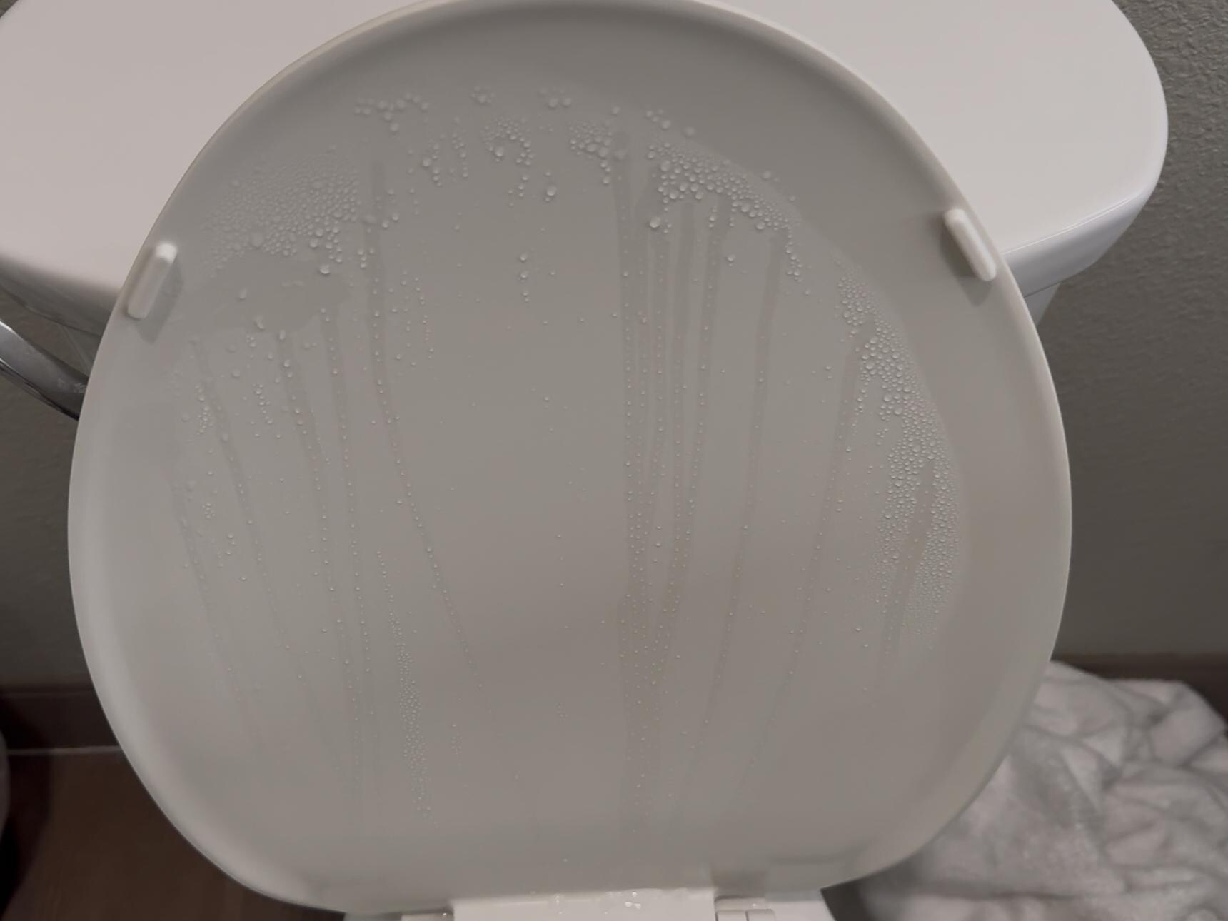 The condensation on the toilet seat lid. 