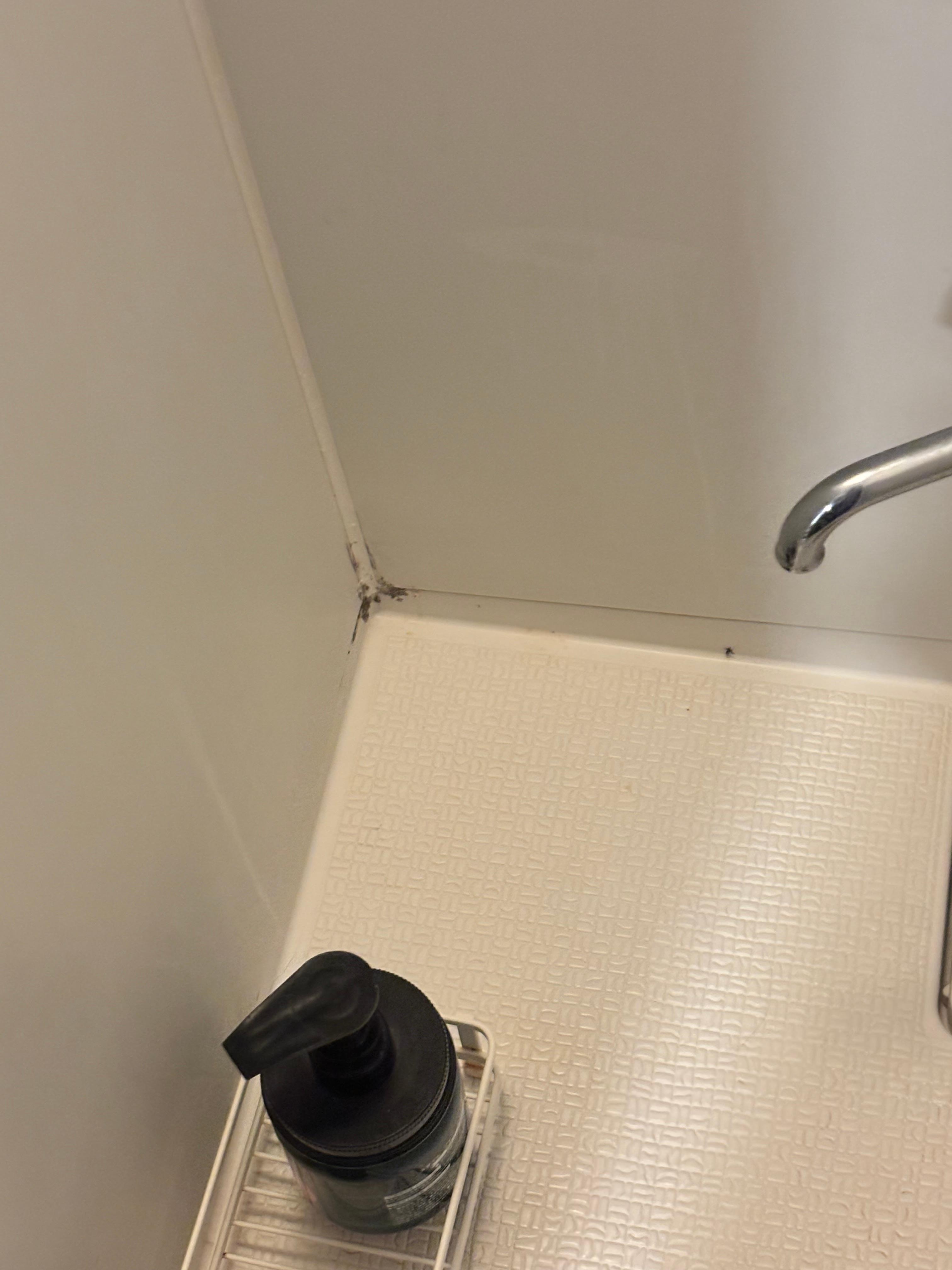 In room shower with mold in the corners
