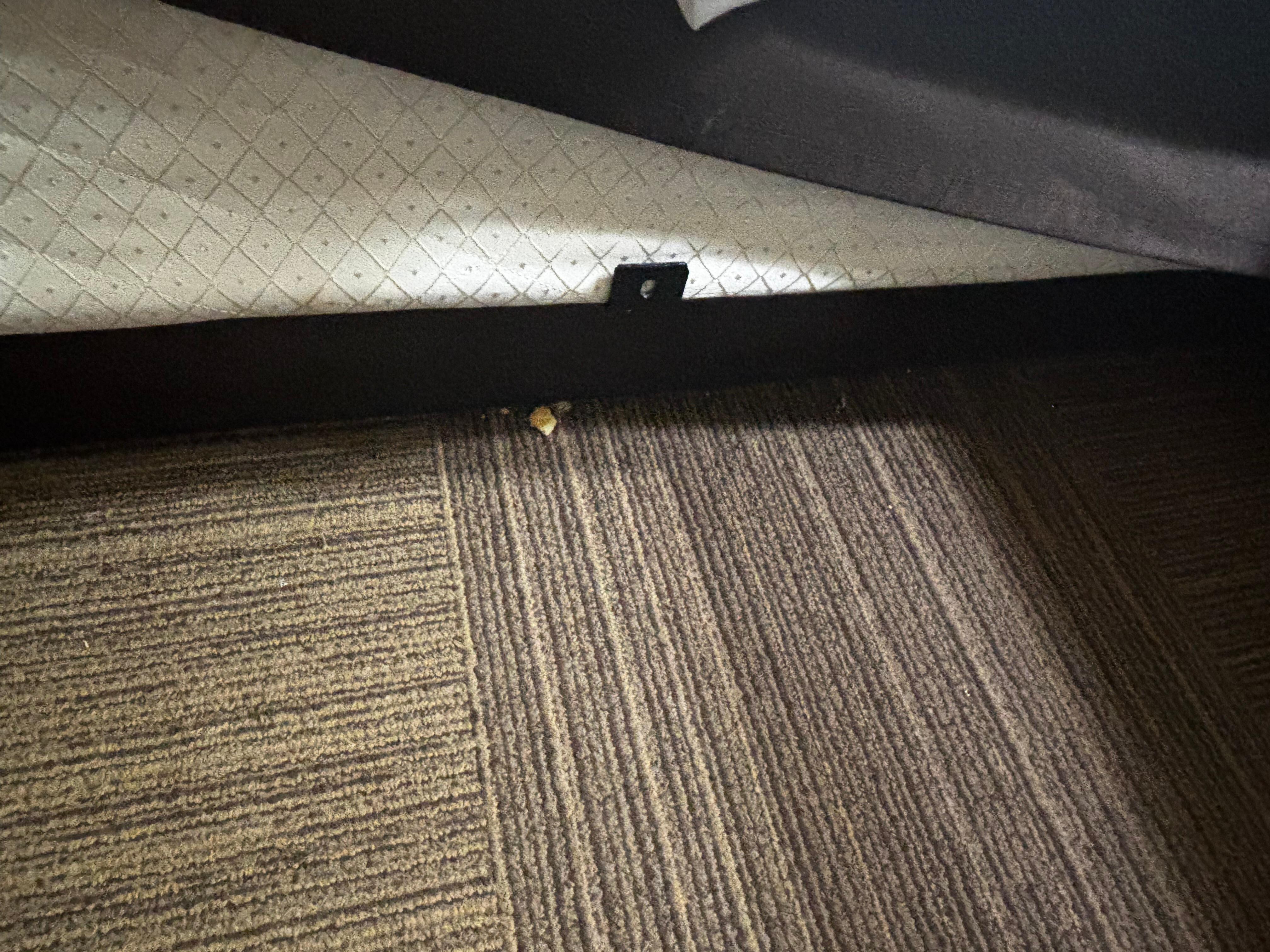 Large food left on the side of the bed.