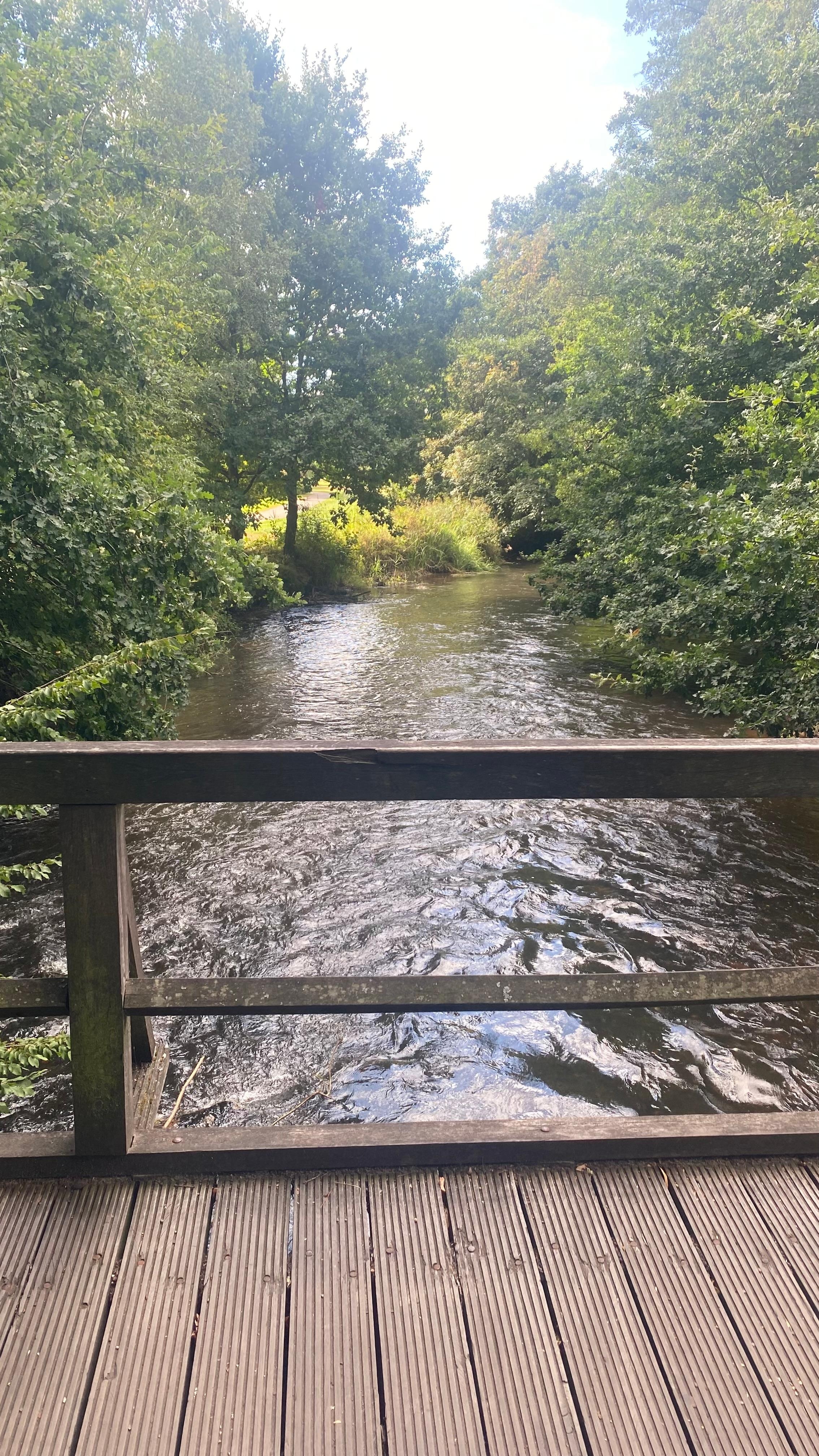 Die Örtze lädt zur Morgenrunde ein. 