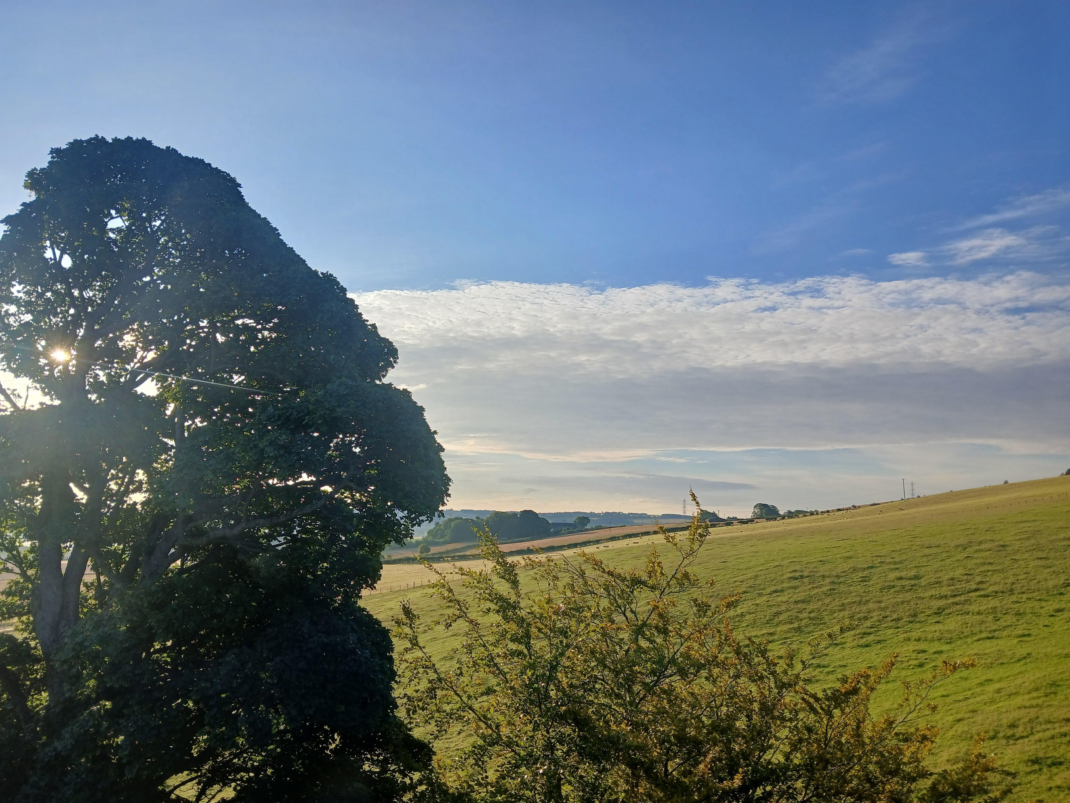 View from upstairs window
