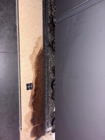 wet, moldy baseboard that fell off the wall