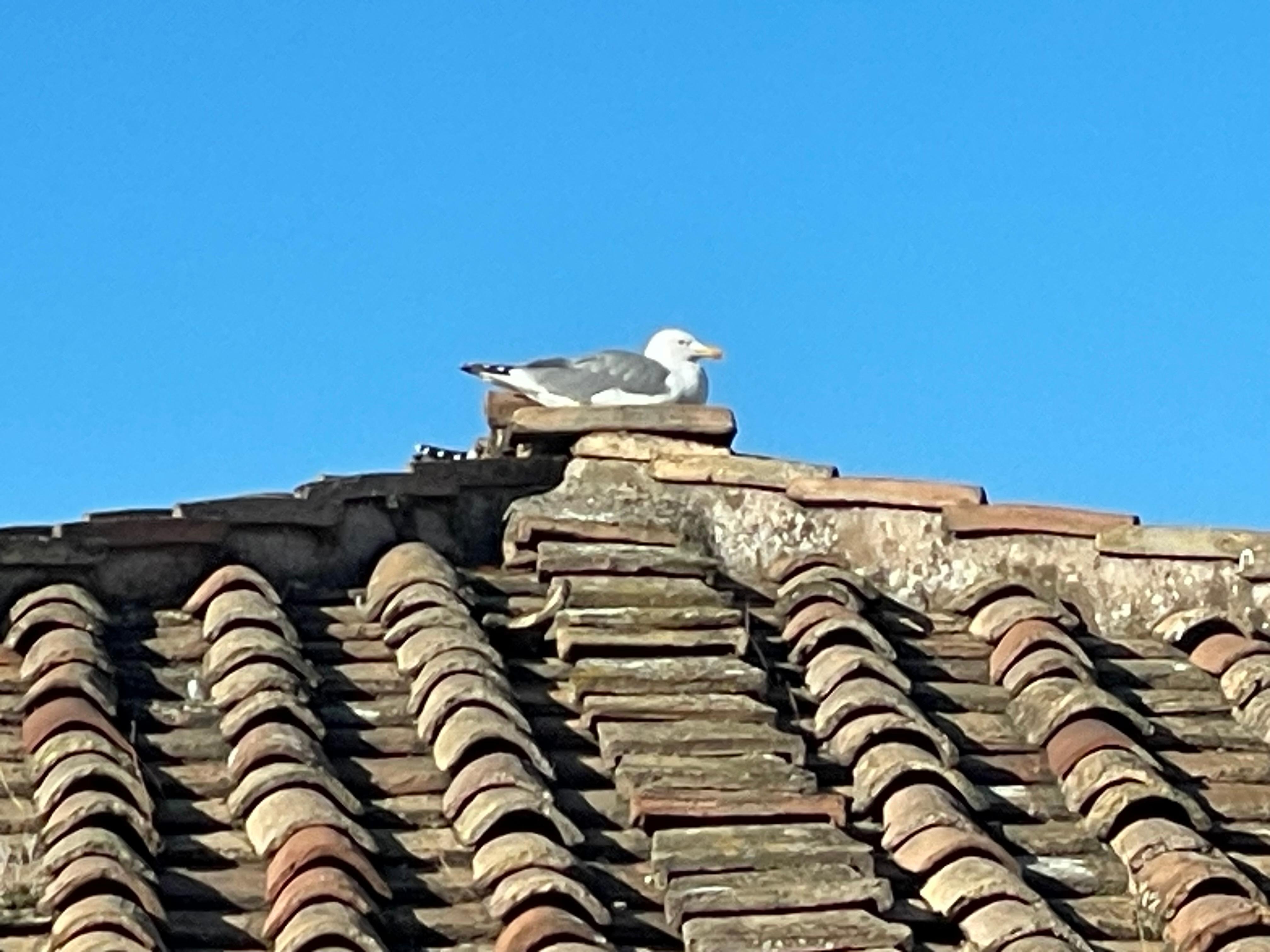 Udsigt fra badeværelset på 5. sal 