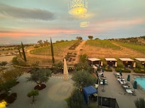 Vineyard view