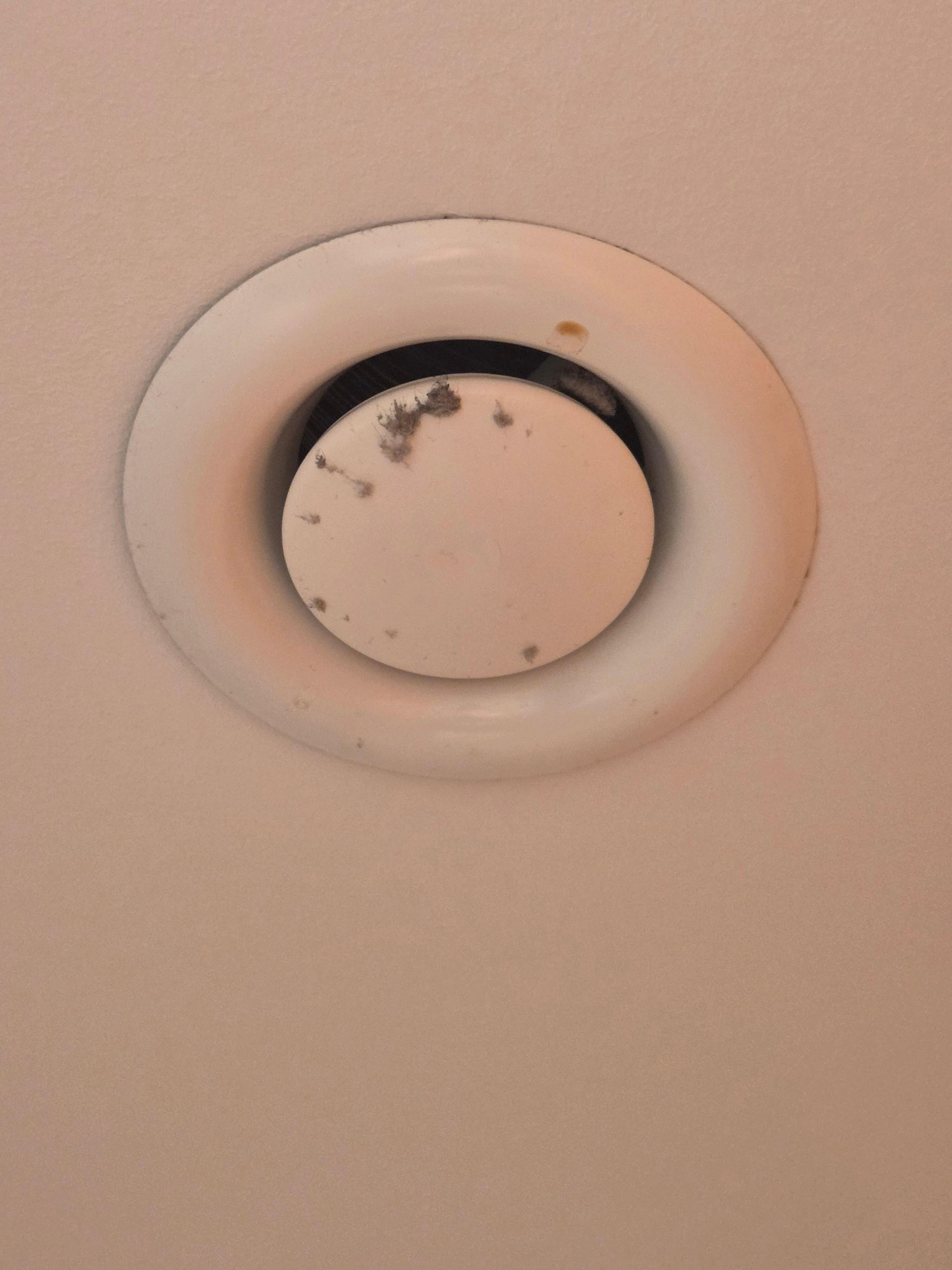 Säubern und Desinfizieren erfolgt leider nur am Boden