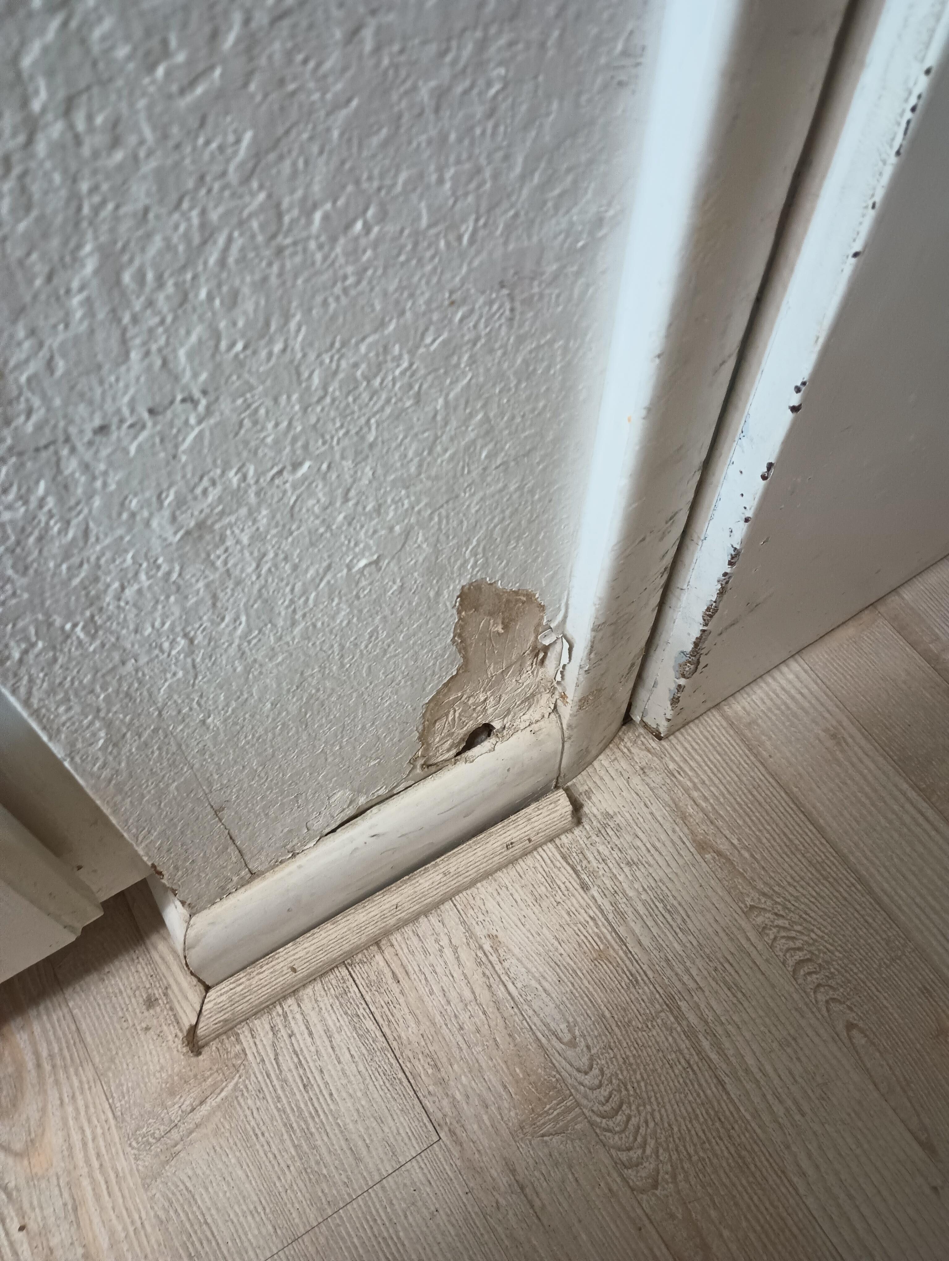 Walls have been through hell