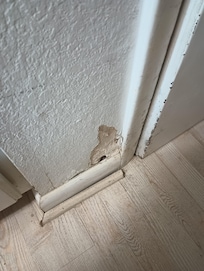 Walls have been through hell