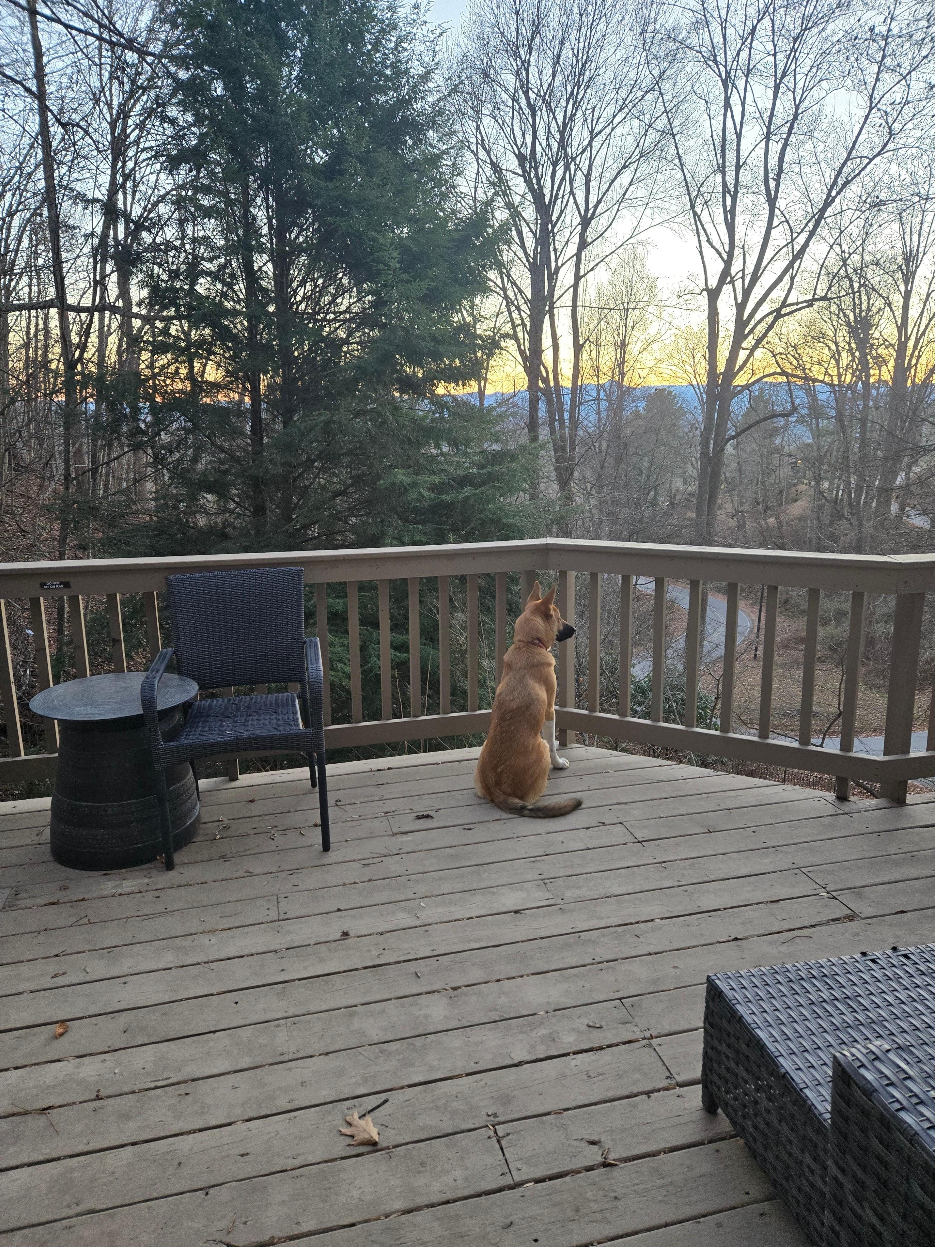 Lovely view from back deck
