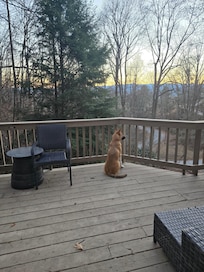 Lovely view from back deck