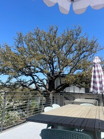 View from the patio by the bar/restaurant