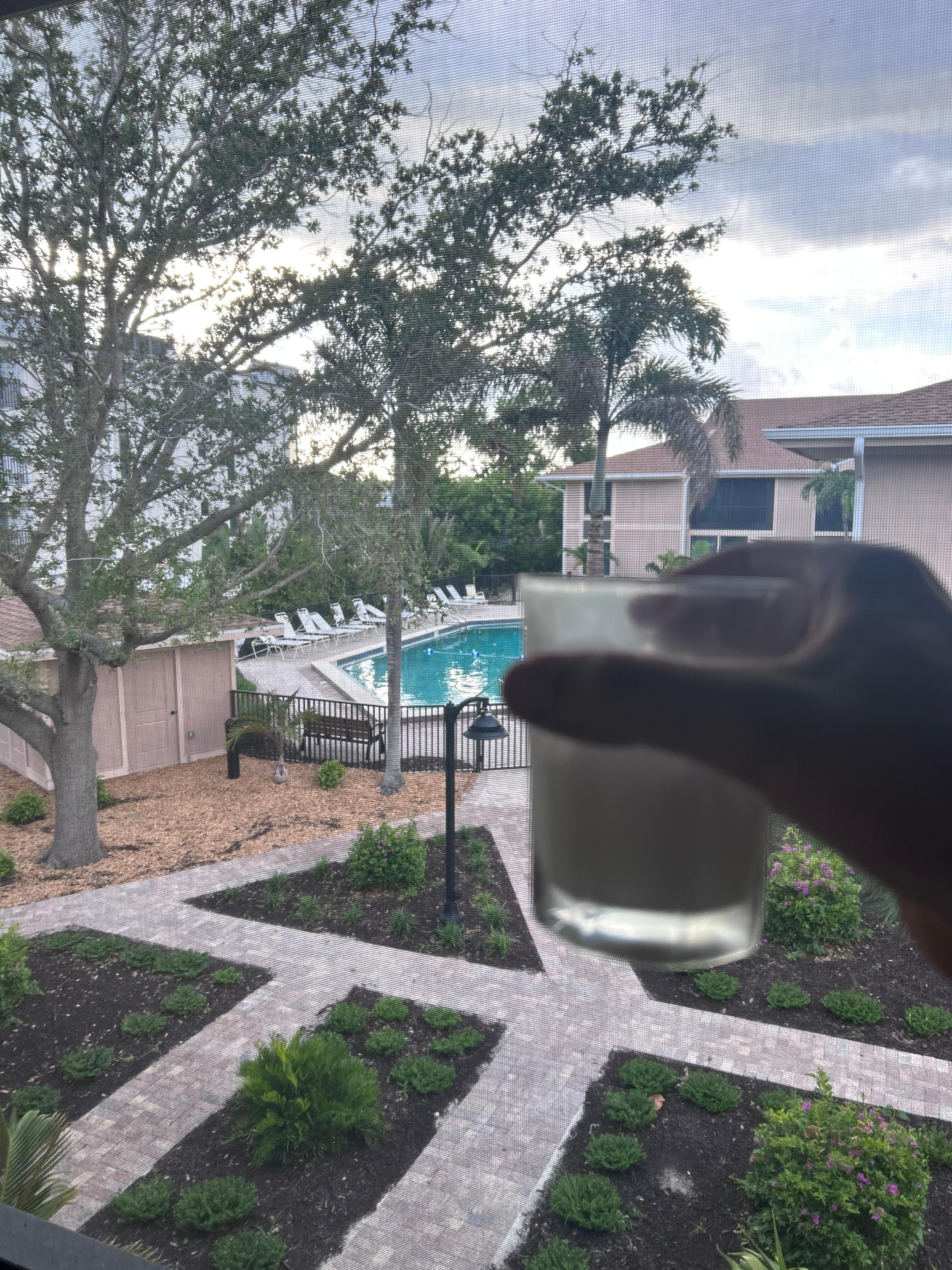 View from the screened in porch overlooking the pool! 