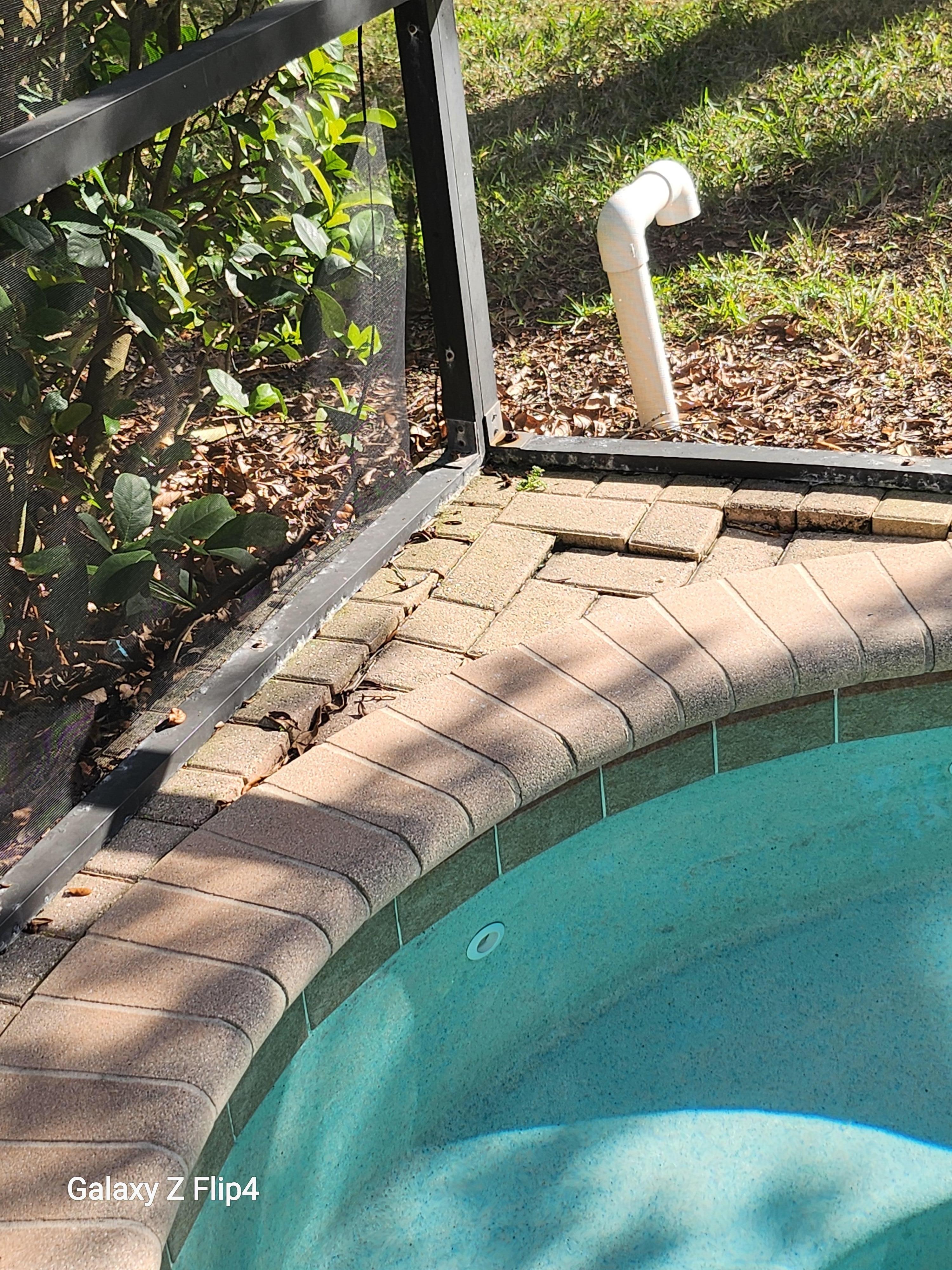 Bricks out of place withants crawling out of them next to thr whirlpool 