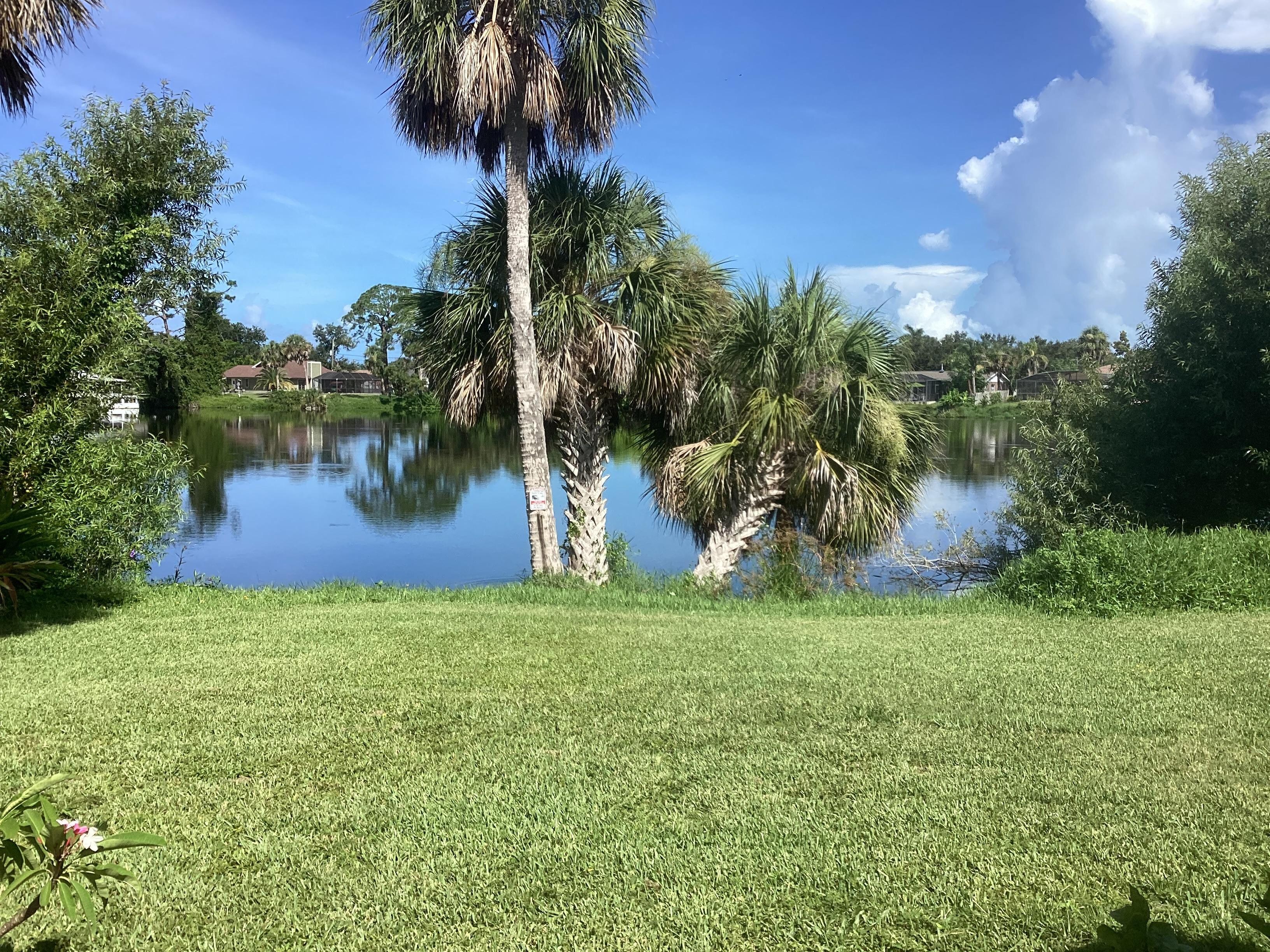 Morning overlooking the small lake at the back of the house