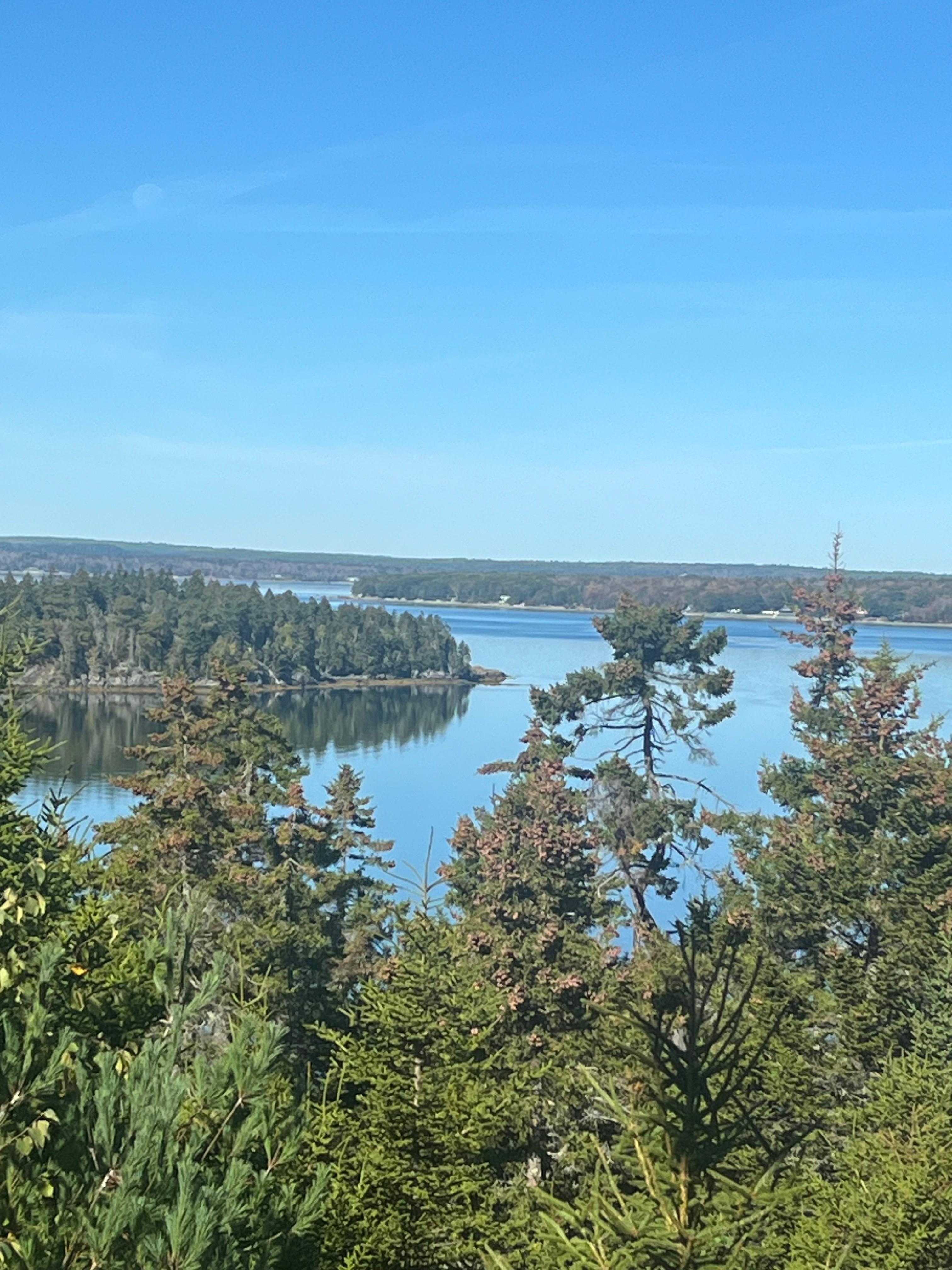 View from downstairs bedroom. 