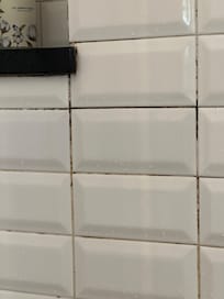 Not only was the shower in the same room and fully visible to the bed, but it was so filthy. I was reluctant to stand in it.