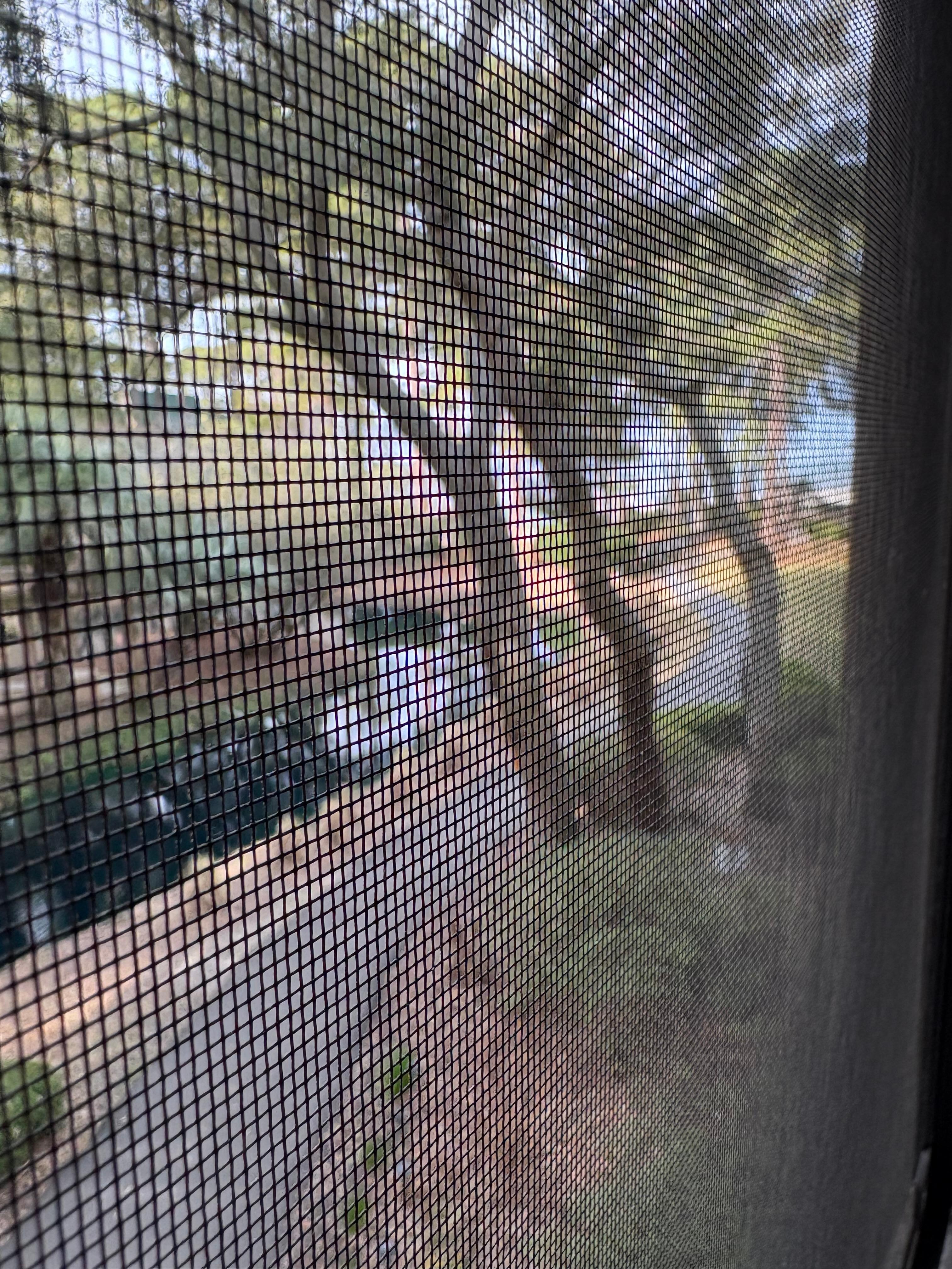 Walkway to the beach 