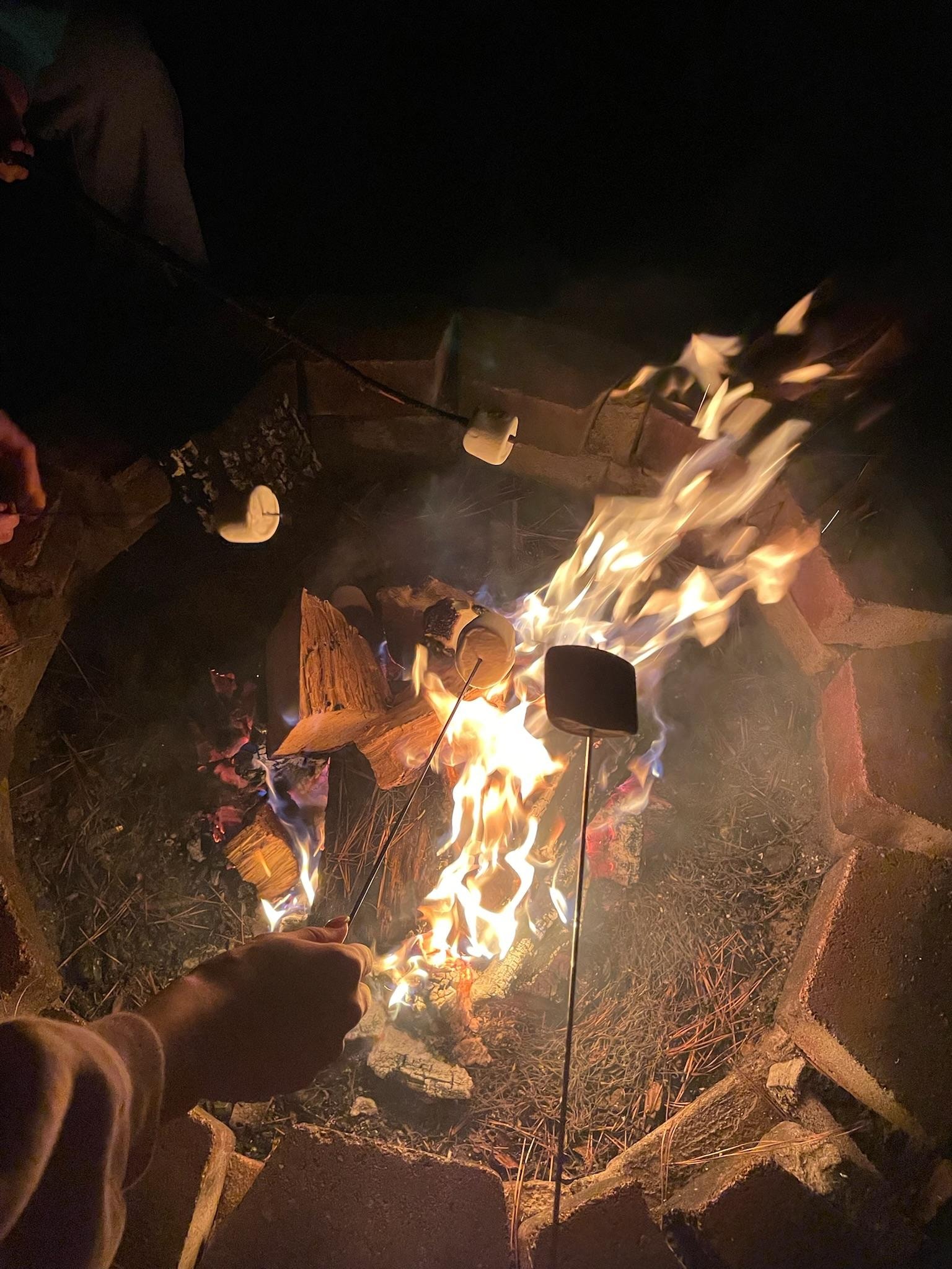 Roasting marshmallows 