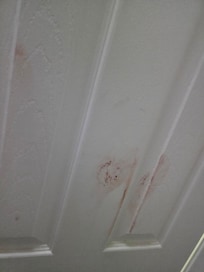Red stained bathroom door