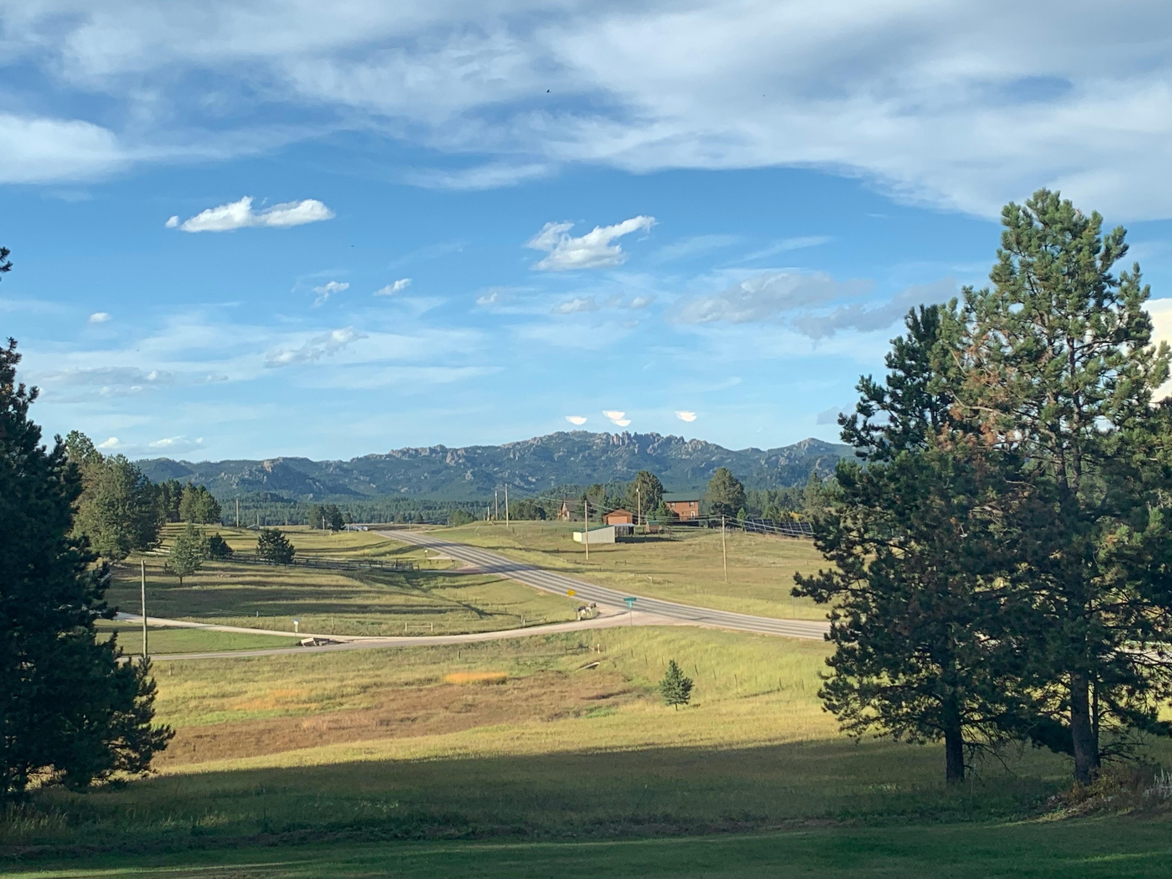 View from the living room 